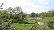 Donauursprung Breg2