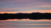 Hartsee Hartsee