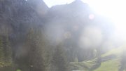 Hochfelln-Bründling