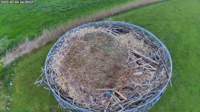 Live Webcam Storchennest Moormerland-Tergast