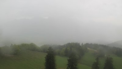 Fotowebcam Staffn-Alm