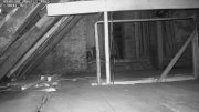 Fledermaushaus Waischenfeld #2