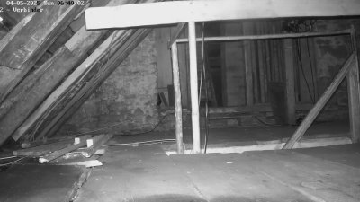 Live Webcam Fledermaushaus Waischenfeld #2