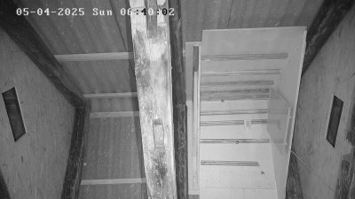 Live Webcam Fledermaushaus Waischenfeld #3